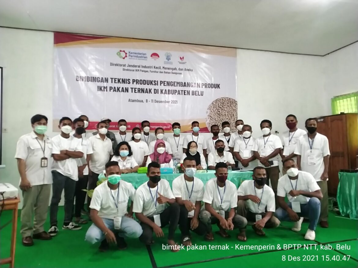 Kemenperin dan BPTP NTT Kolaborasi Hasilkan Pakan Ternak Mandiri