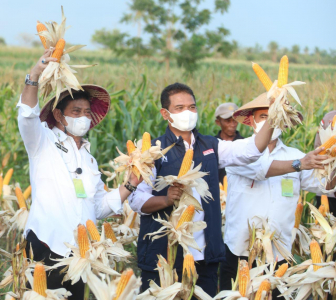 Disambangi Mentan RI, Petani di Baumata, Kabupaten Kupang Semakin Terpacu Tingkatkan Program TJPS