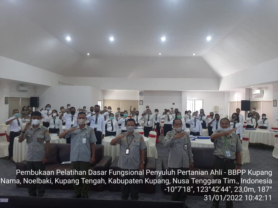 BPPSDMP Tingkatkan Kualitas dan Kapasitas SDM PPL