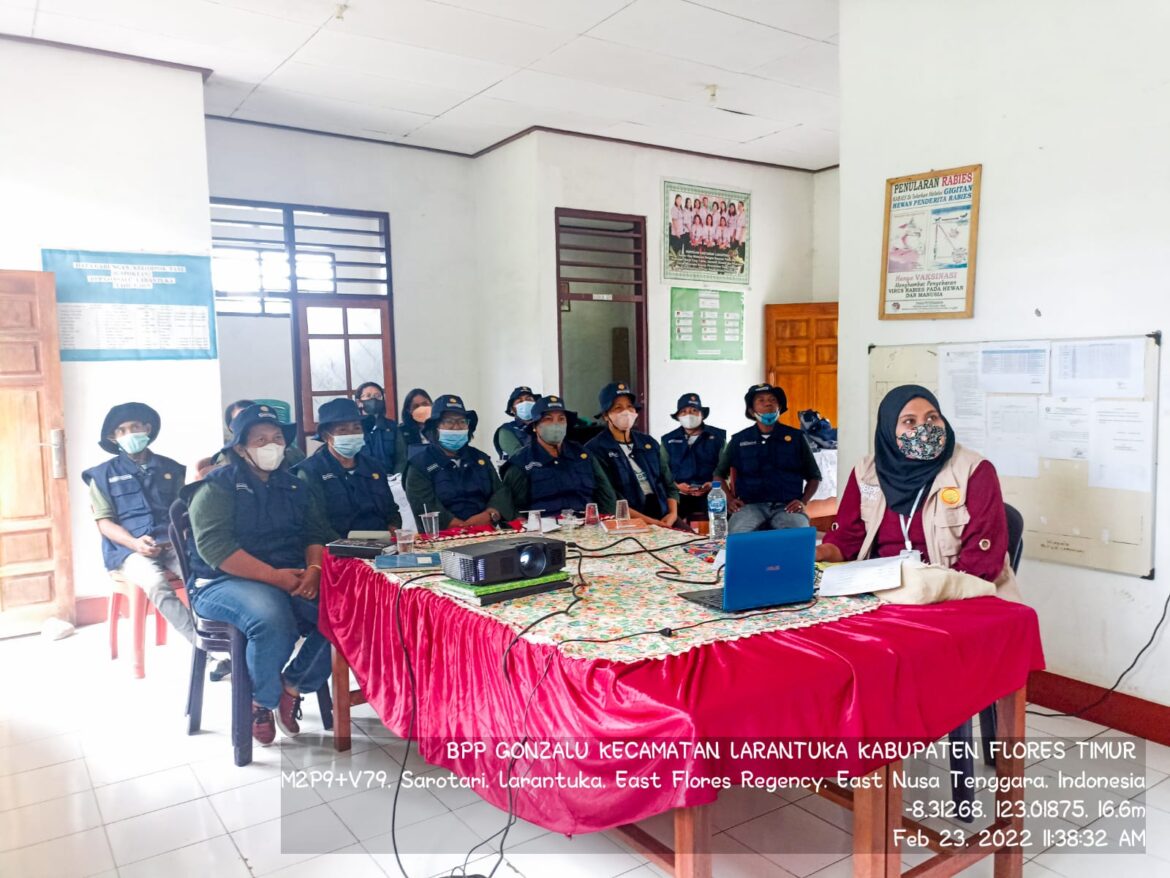 Petani di Flotim Ikut Kegiatan Pelatihan Sejuta Petani dan Penyuluh dari Kementan RI