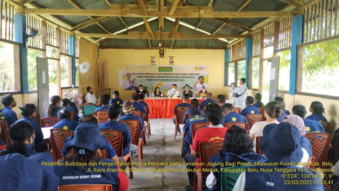 Petani di Belu Dapat Pelatihan Tematik PHT