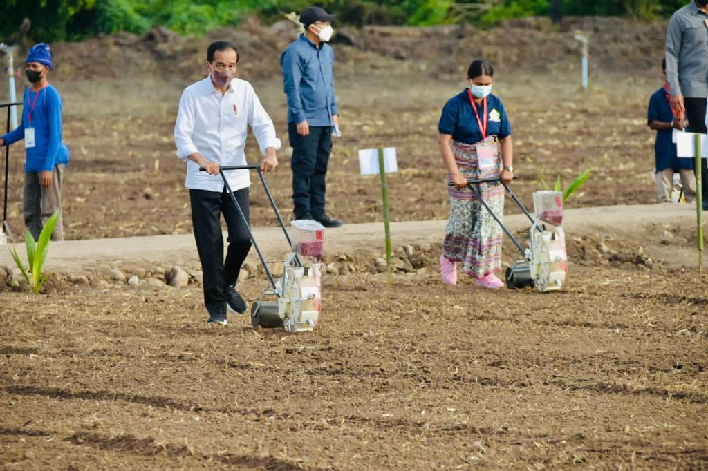 Presiden Jokowi Dorong Penyuluh Terus Dampingi Petani