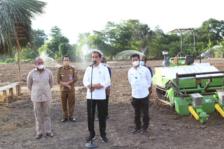 Presiden Jokowi dan Mentan RI Tanam Jagung di Lokasi Food Estate