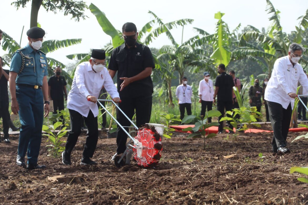 Wapres Ajak Masyarakat Bertani Dengan Konsep Integrated Farming