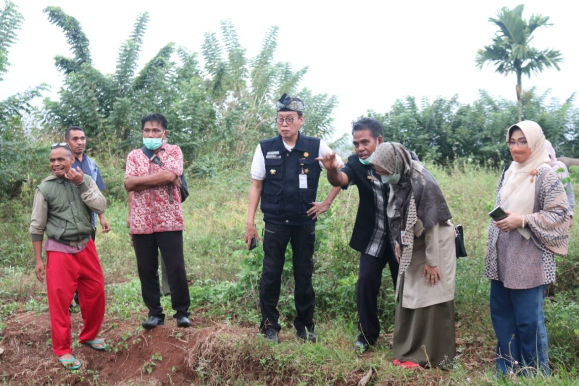 Kepala BPPSDMP Sebut Hama Belalang Yang Dibasmi di Sumba Tengah Bisa Dijadikan Pakan Ternak