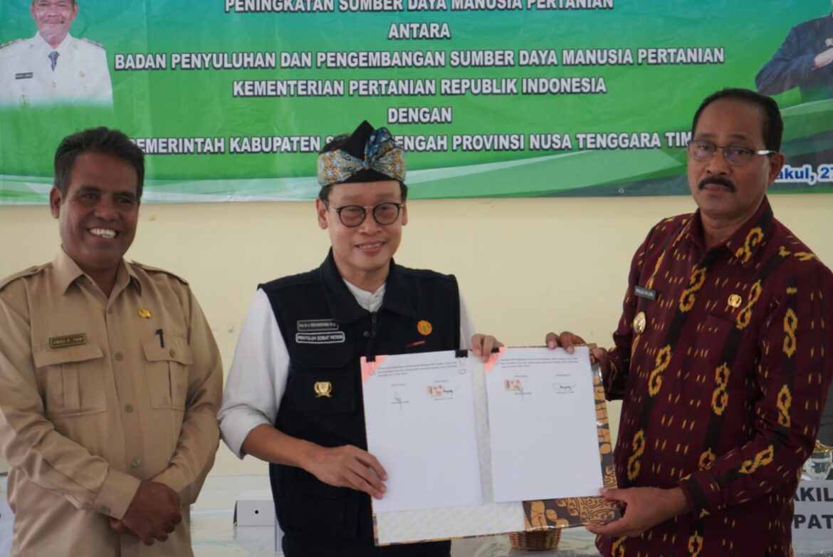 Program Food Estate Mampu Mengatasi Persoalan Kemiskinan di Sumba Tengah