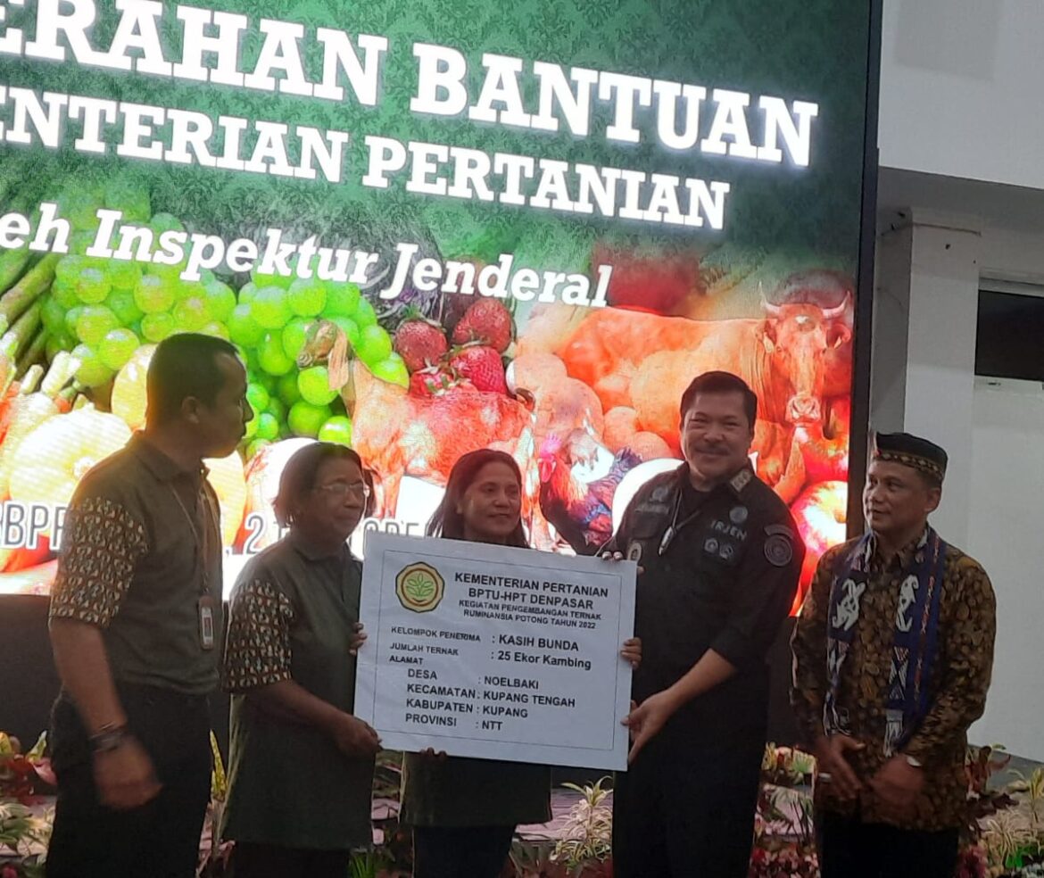 Kementan RI Kembangkan Ternak Sapi Bali di NTT