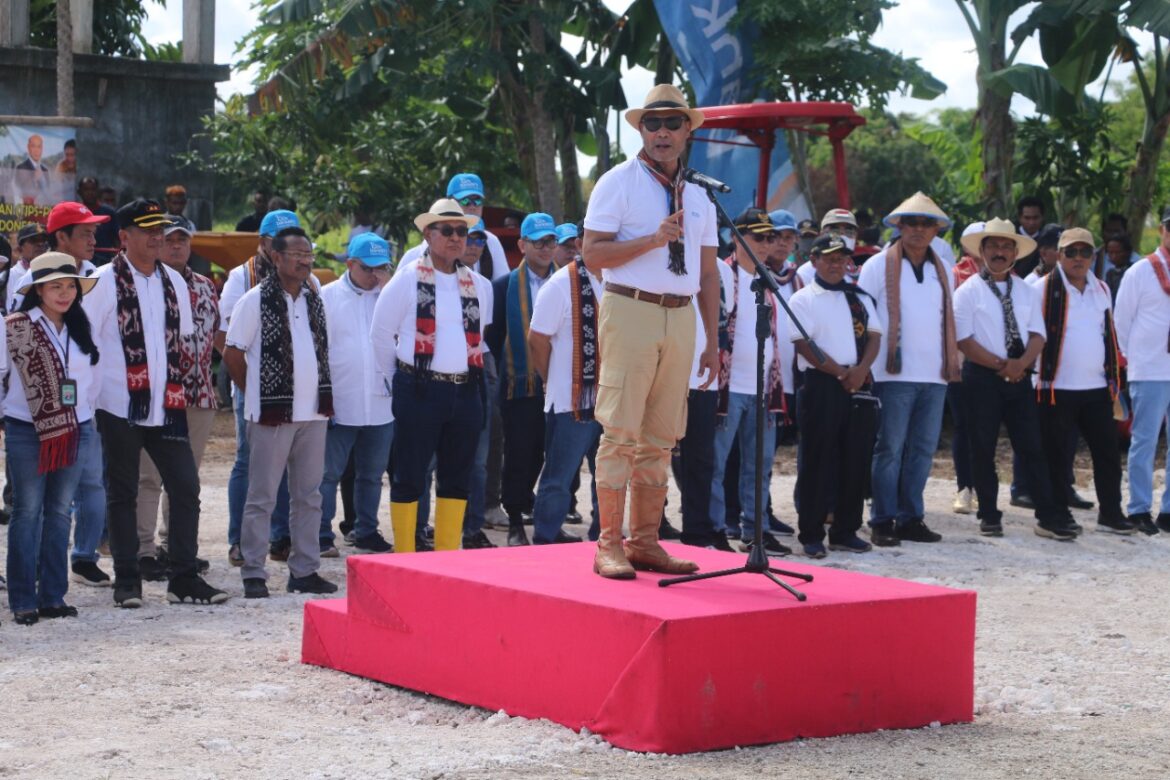 Gubernur NTT Optimis Hasil dari TJPS Pada Lahan 400.017 Ha Bisa Panen Uang 4 Triliun