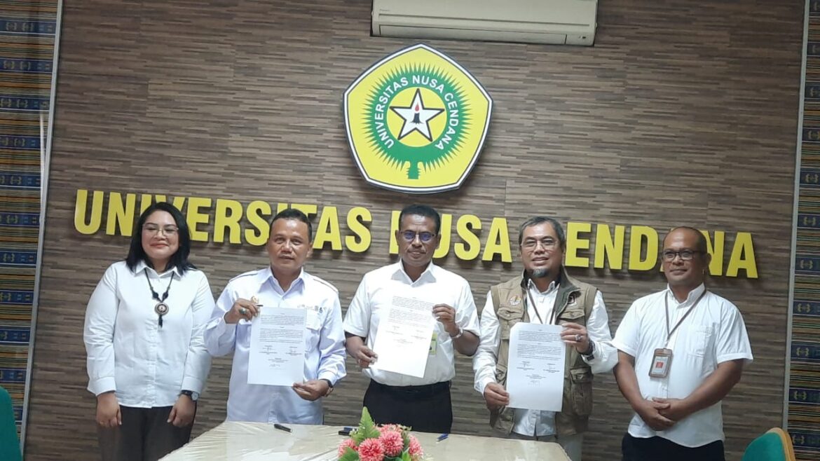 BBPP Kupang Lepas 8 Ekor Rusa Timor Buat Undana dan Balai Besar KSDA NTT