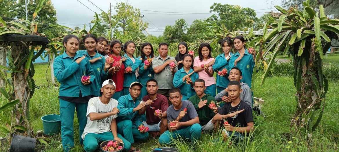 Olah Lahan Tidur, SMKPP Kementan Rutin Panen Buah Naga