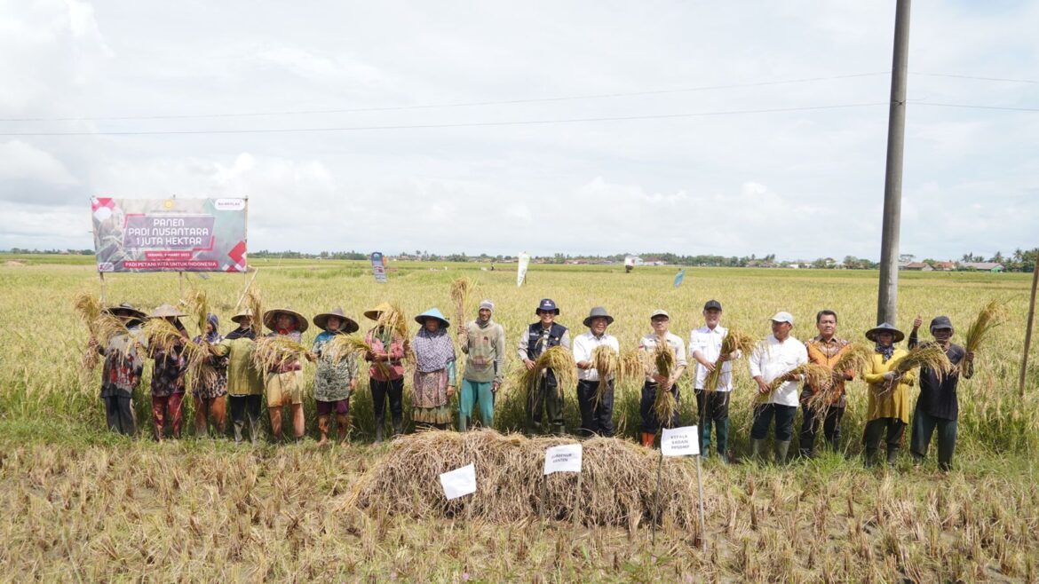 Panen Raya Nusantara Satu Juta Hektare, Kementan Apresiasi Petani Modern Serang