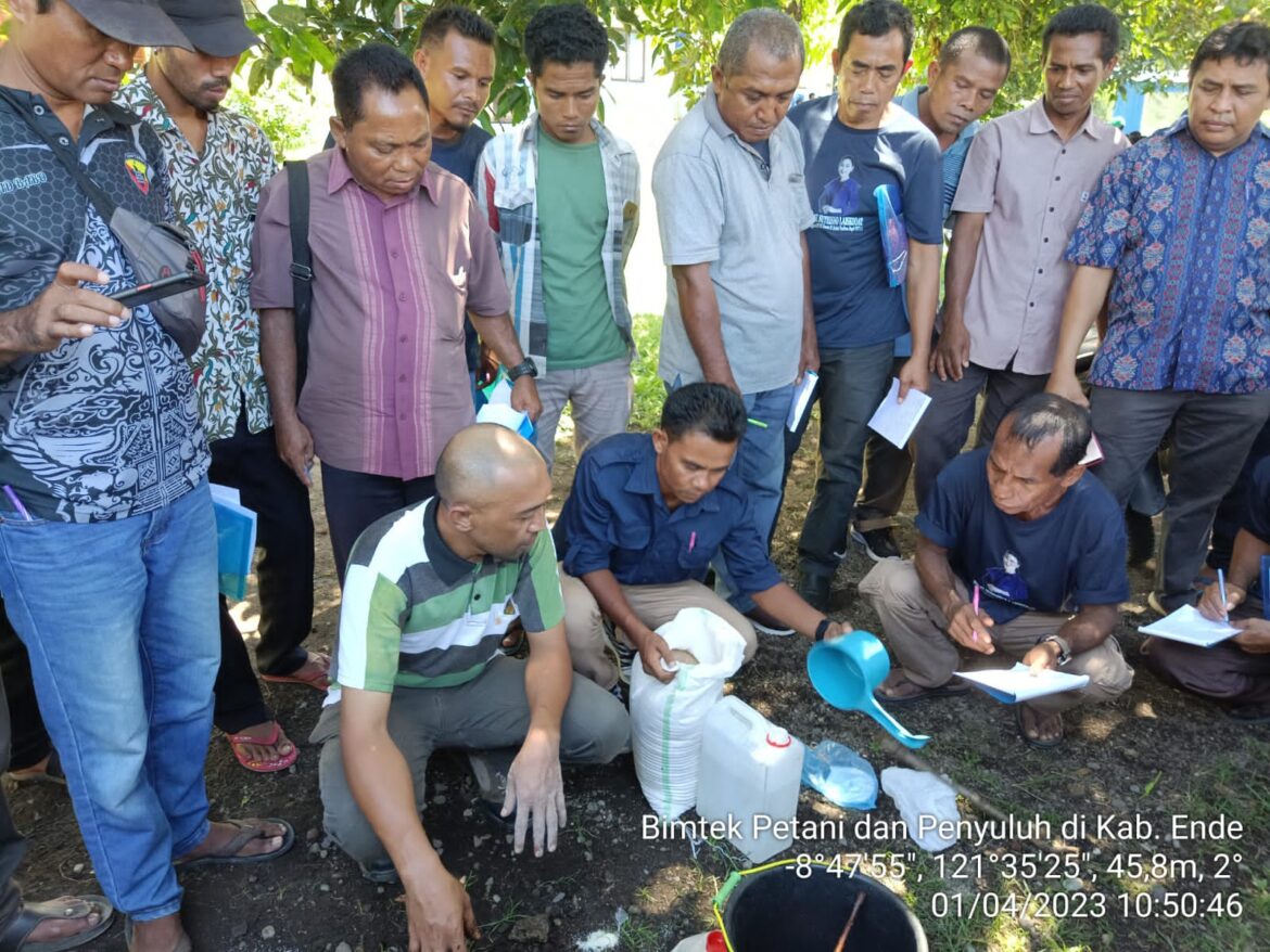 Kementan Gandeng Komisi IV DPR RI Gencarkan Genta Organik di Ende