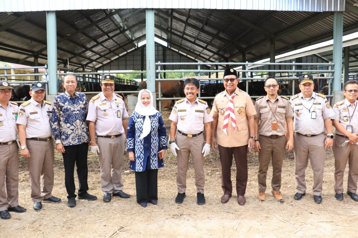 Tiga Wilayah di Indonesia Siap Terima Ternak Sapi dari NTT, Simak Ungkapan Hati Wagub NTT