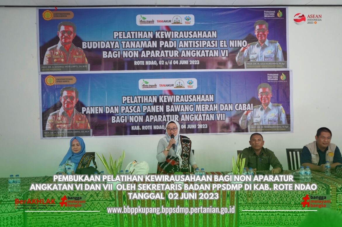 Antisipasi Elnino Kementan Gelar Pelatihan Budidaya Tanaman Padi di Kabupaten Rote