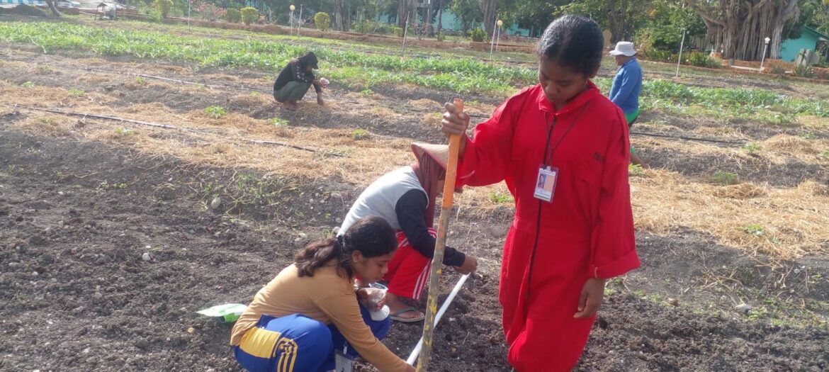 Kementan Terus Dorong Lahirnya Petani Milenial Salahsatunya Melalui Praktek kerja Lapangan (PKL)