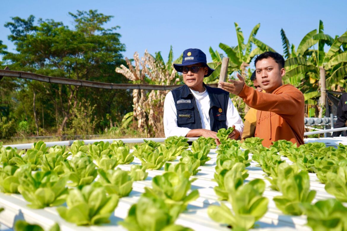 Kunjungi Petani Milenial Pasuruan, Kementan Sampaikan 3 Elemen Utama Syarat Keberhasilan Petani Muda