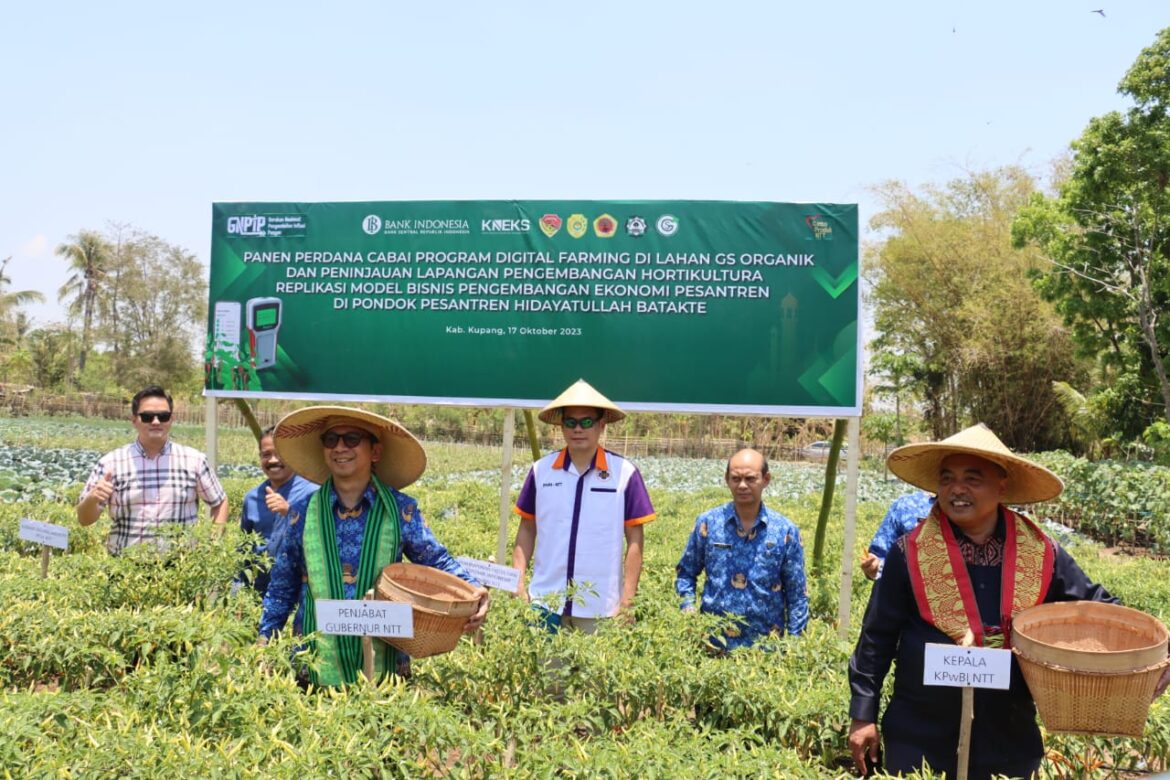 Penjabat Gubernur NTT Apresiasi Program Implementasi Digital Farming KPw BI NTT