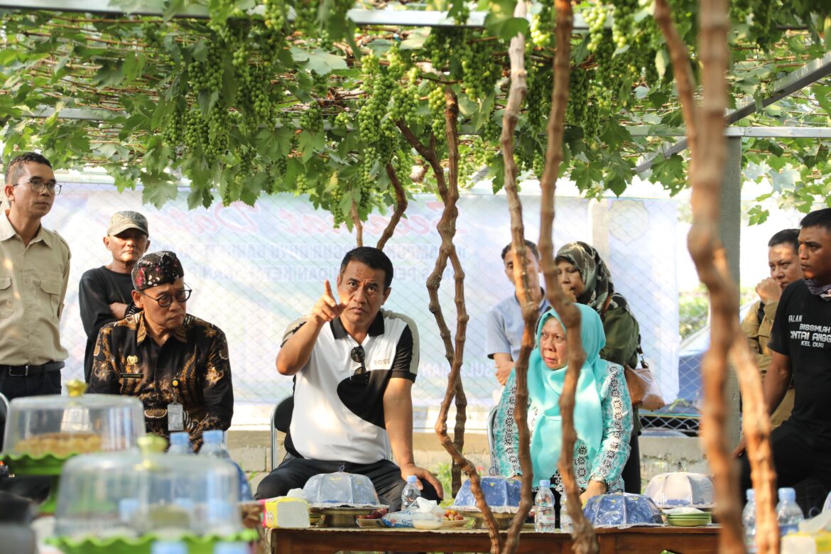 Hari Minggu, Mentan Amran Turun Tinjau Petani Anggur di Palu