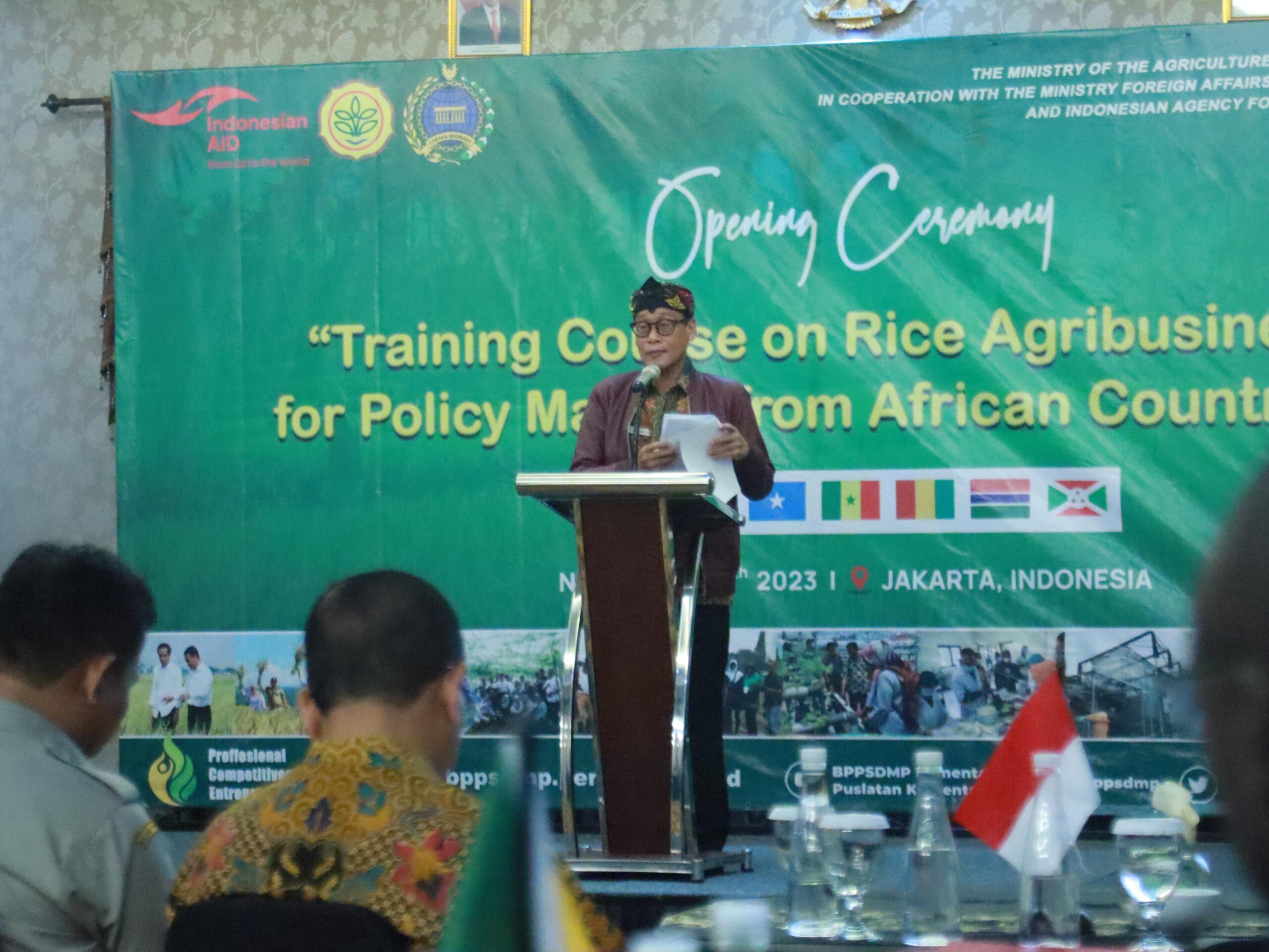 Kementan Latih Pemangku Kebijakan Negara-Negara Afrika Agribisnis Padi