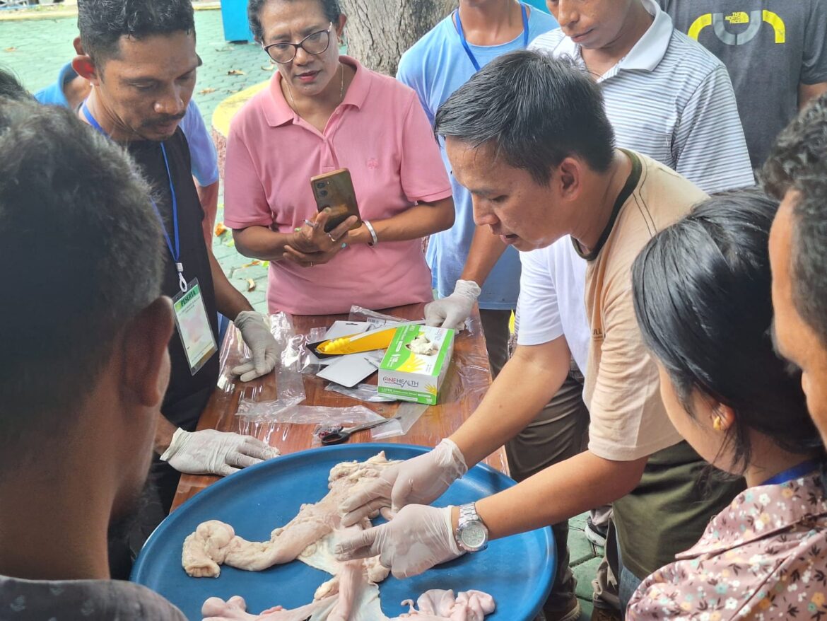 Peserta Pelatihan di BBPP Kementan Laksanakan Simulasi Inseminasi Buatan  -. Gunakan Preparat Organ Reproduksi Babi Betina