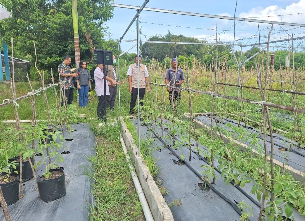 Kunjungan Bersama Tim Puslatan dan Kementerian Ketenagakerjaan ke P4S Abdi Laboratus Kupang, NTT