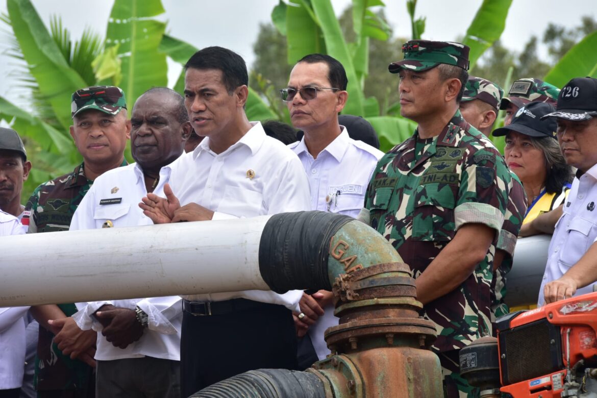 Mentan Cek Pompanisasi di Merauke, Targetkan Pertanian Modern