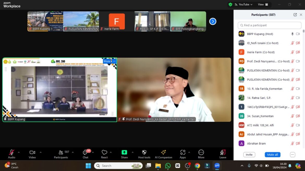 BBPP Kementan Gelar Bertani On Cloud Volume 260: Persiapan Akseptor dan Pejantan Serta Pemanfaatan Limbah Ternak