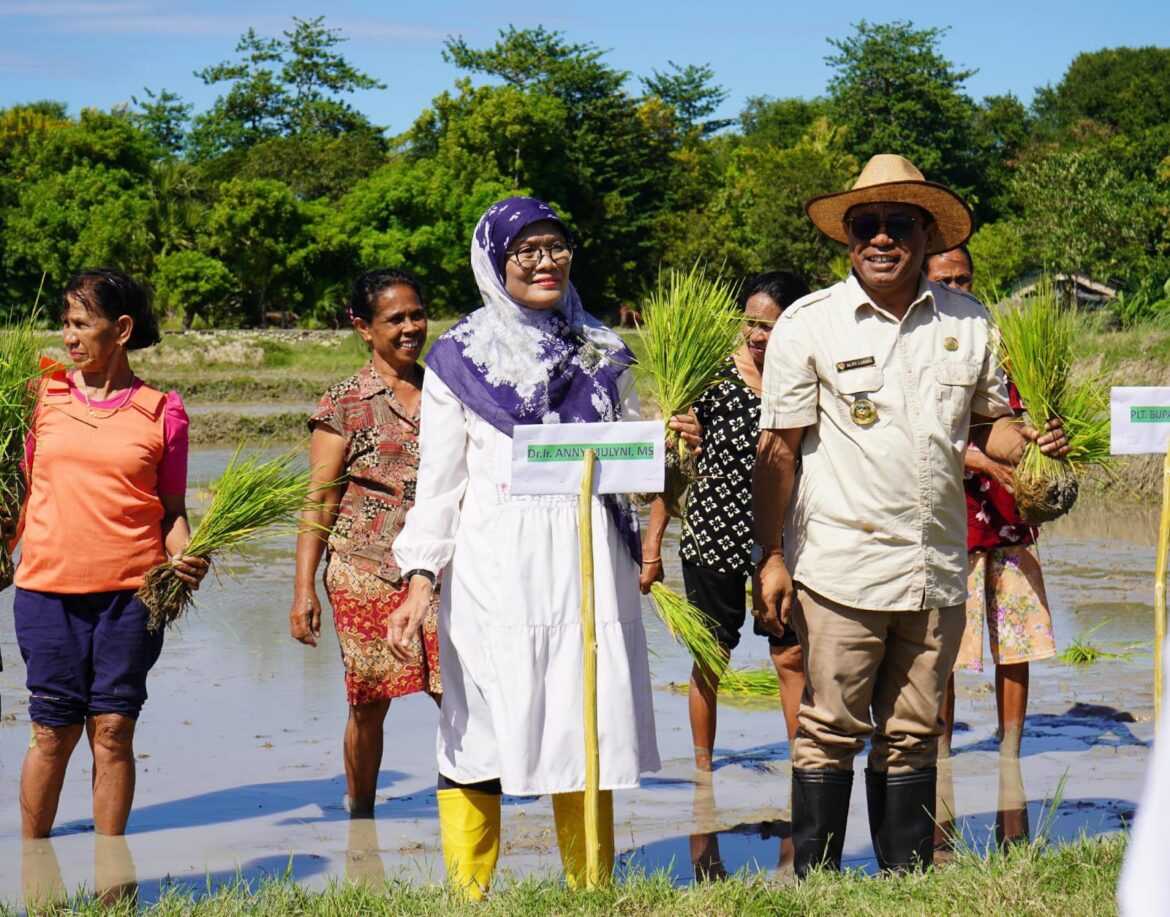 Penjabat Bupati Kupang Apresiasi Kegiatan Perluasan Area Tanam (PAT) untuk Antisipasi Darurat Pangan