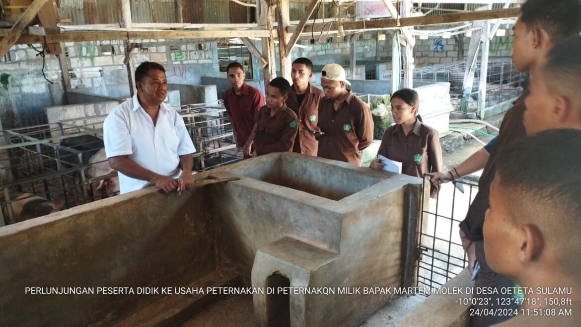 Tingkatkan Kompetensi Peserta Didik, SMKPP Kementan Kunjungi Usaha Ternak Babi