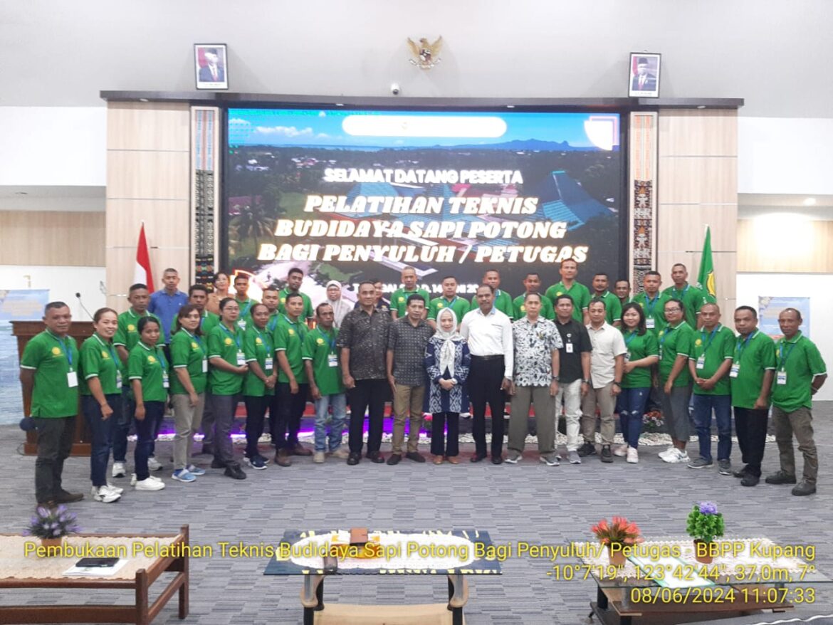 Tingkatkan Keterampilan Penyuluh dan Petugas dalam Budidaya Sapi Potong BBPP Kementan Gelar Pelatihan Teknis