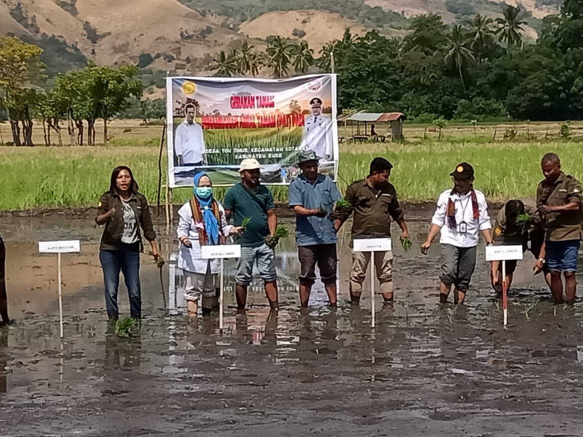 Kepala BBPP Kementan Hadiri Gertam di Kecamatan Kota Baru Kabupaten Ende