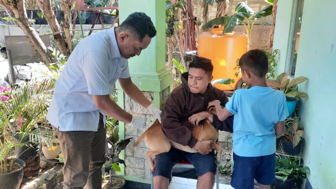 Pemkot Kupang Telah Habiskan 4.083 Dosis Vaksin Untuk Mencegah Rabies di Kota Kupang