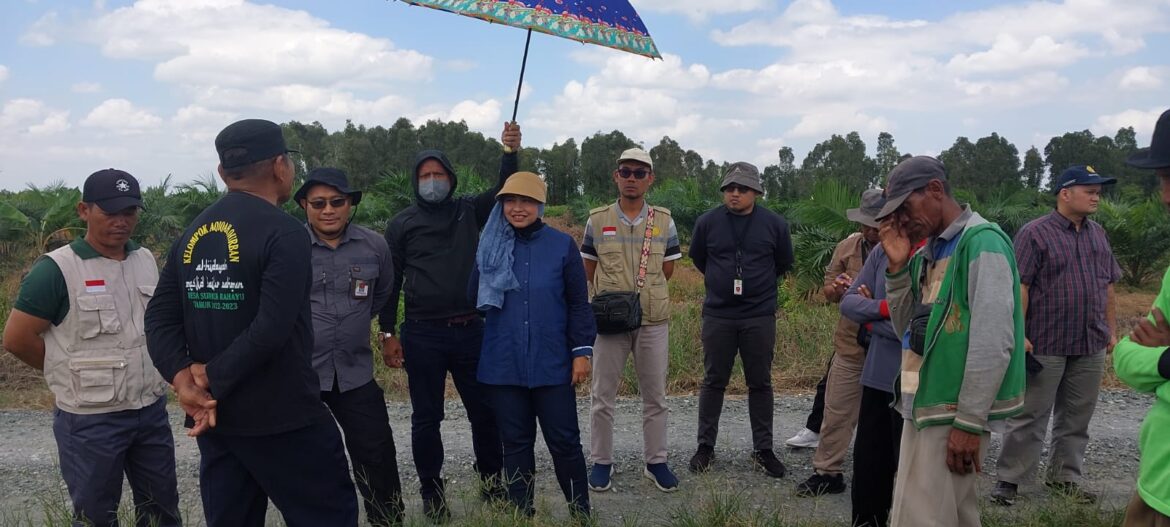 Tak Kenal Waktu Libur, Kabadan PPSDMP Temukan Solusi Perluasan Areal Tanam Di Barito Kuala