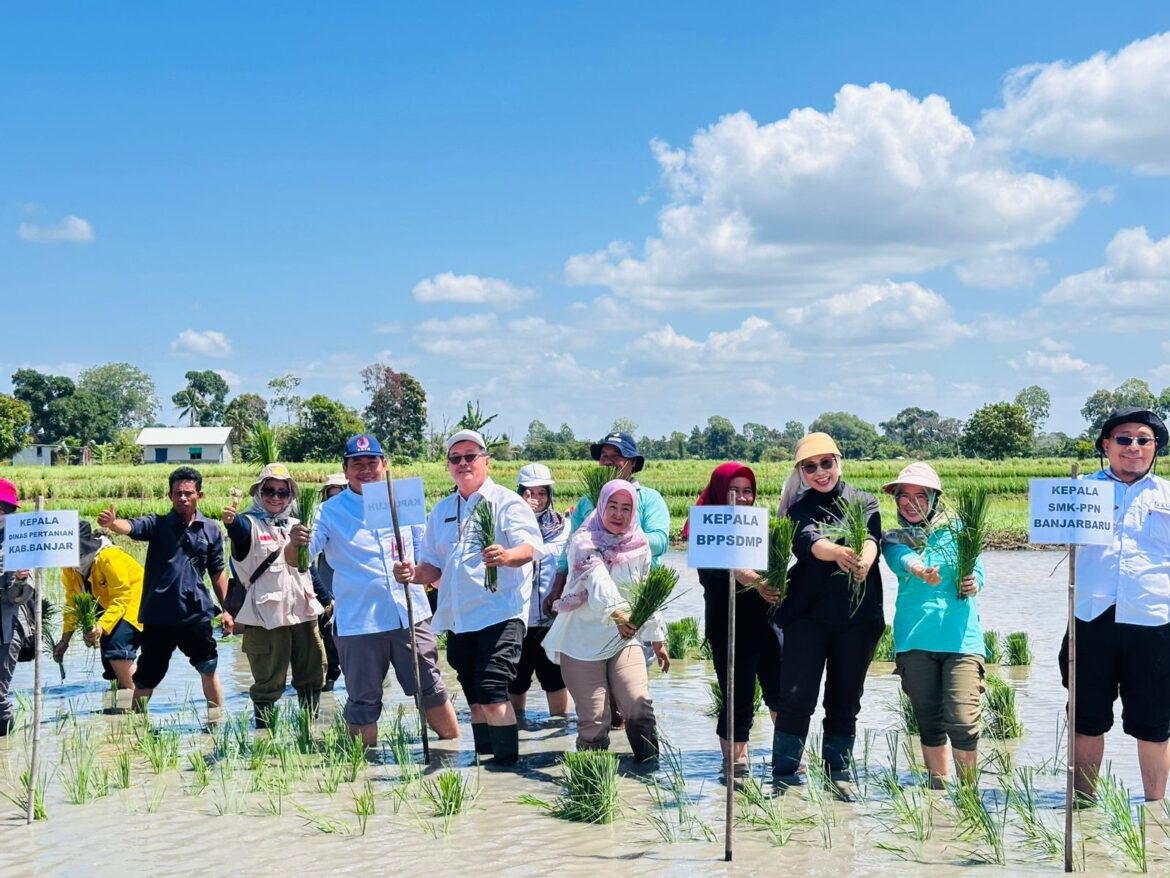 Dukung PAT di Kalsel, Kementan dan Petani Lakukan Tanam Padi Bersama