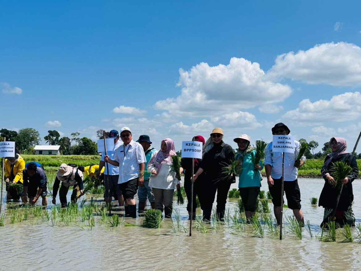 Dukung PAT di Kalsel, Kementan dan Petani Lakukan Tanam Padi Bersama