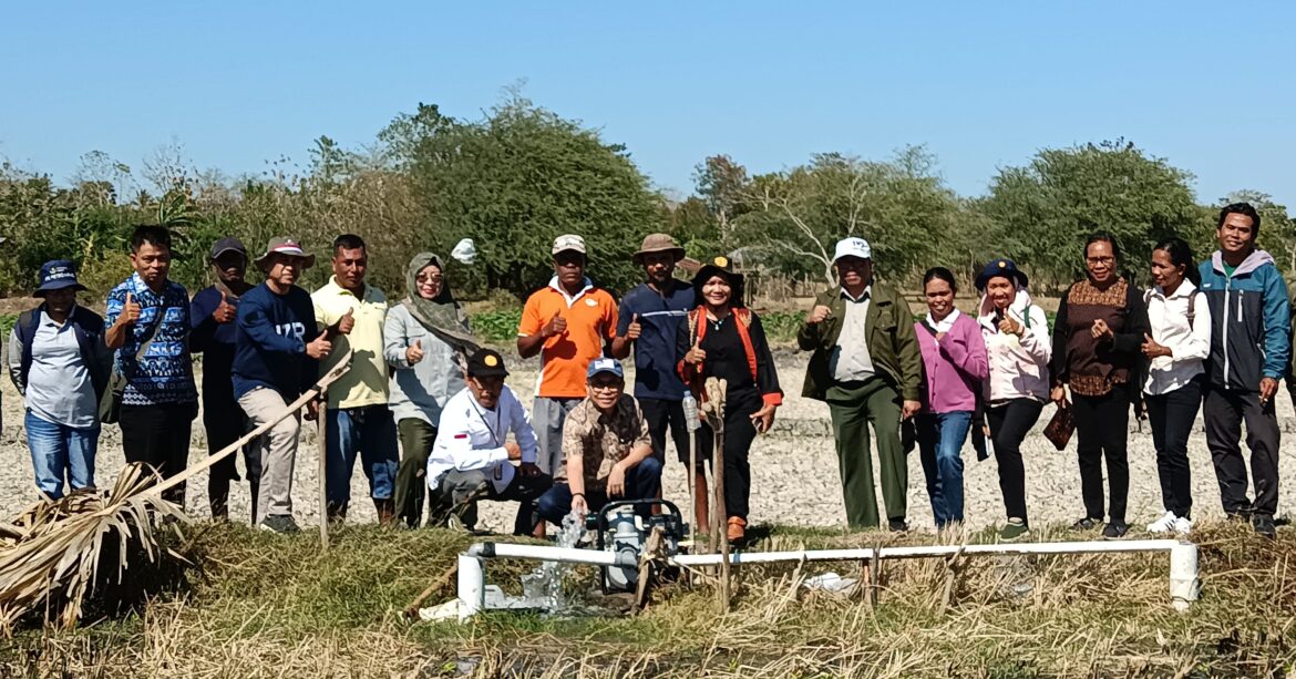 Dukung PAT, Kementan Lakukan Monitoring Pompanisasi di NTT