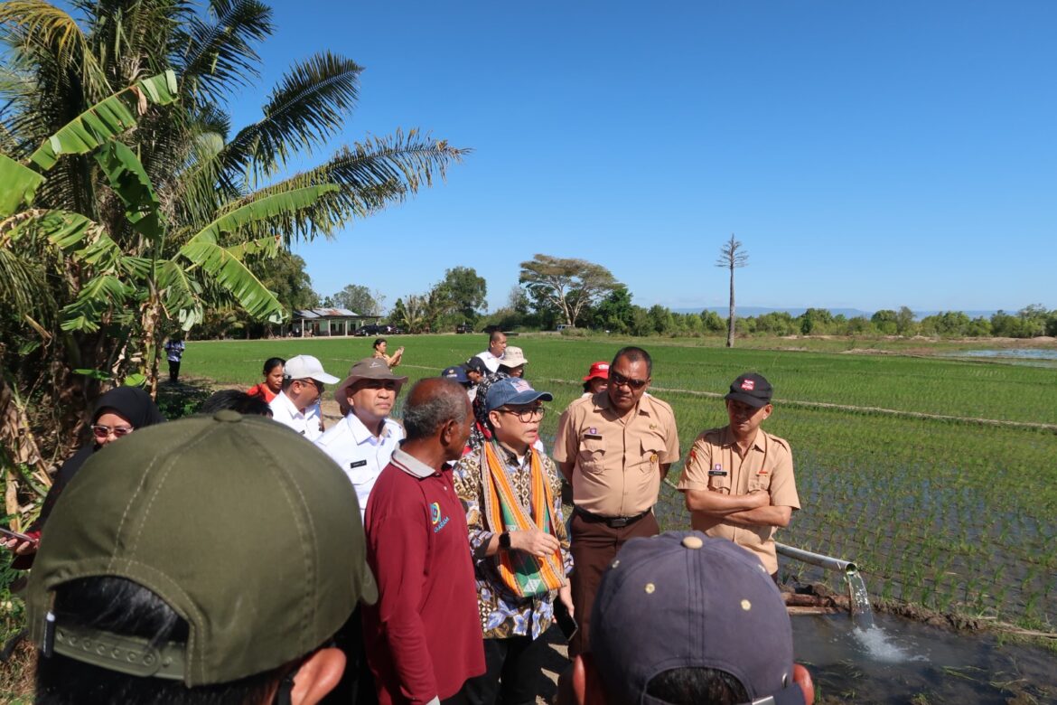 Pantau Perluasan Areal Tanam di NTT, Tenaga Ahli Menteri Turun Langsung ke Lokasi