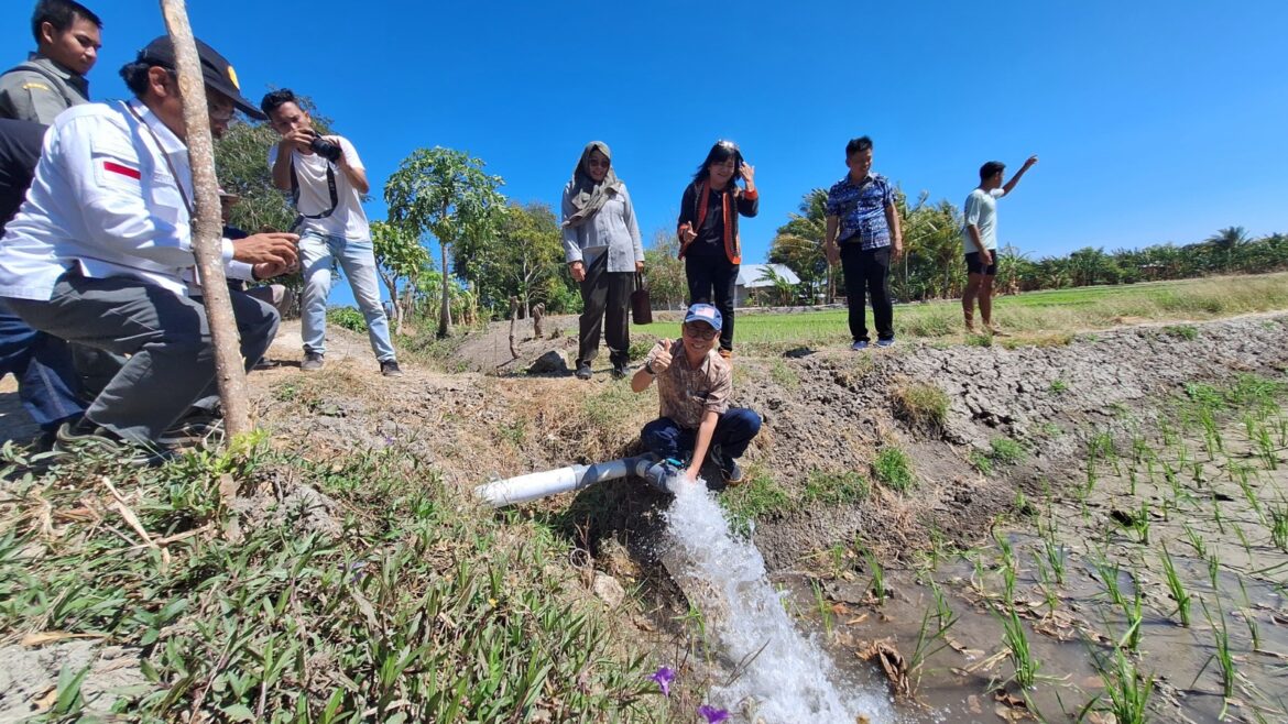 Tenaga Ahli Menteri Pertanian Tinjau Pompanisasi, Solusi Genjot Produksi Padi Sawah Tadah Hujan di NTT