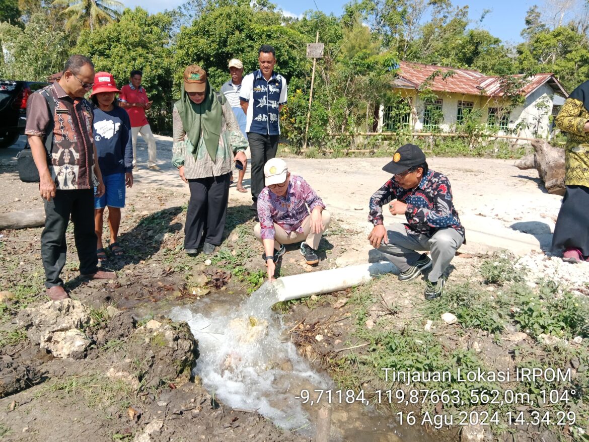 Petani di Sumba Timur Dapat “Kado Istimewa” di HUT ke 79 RI Program Pompanisasi