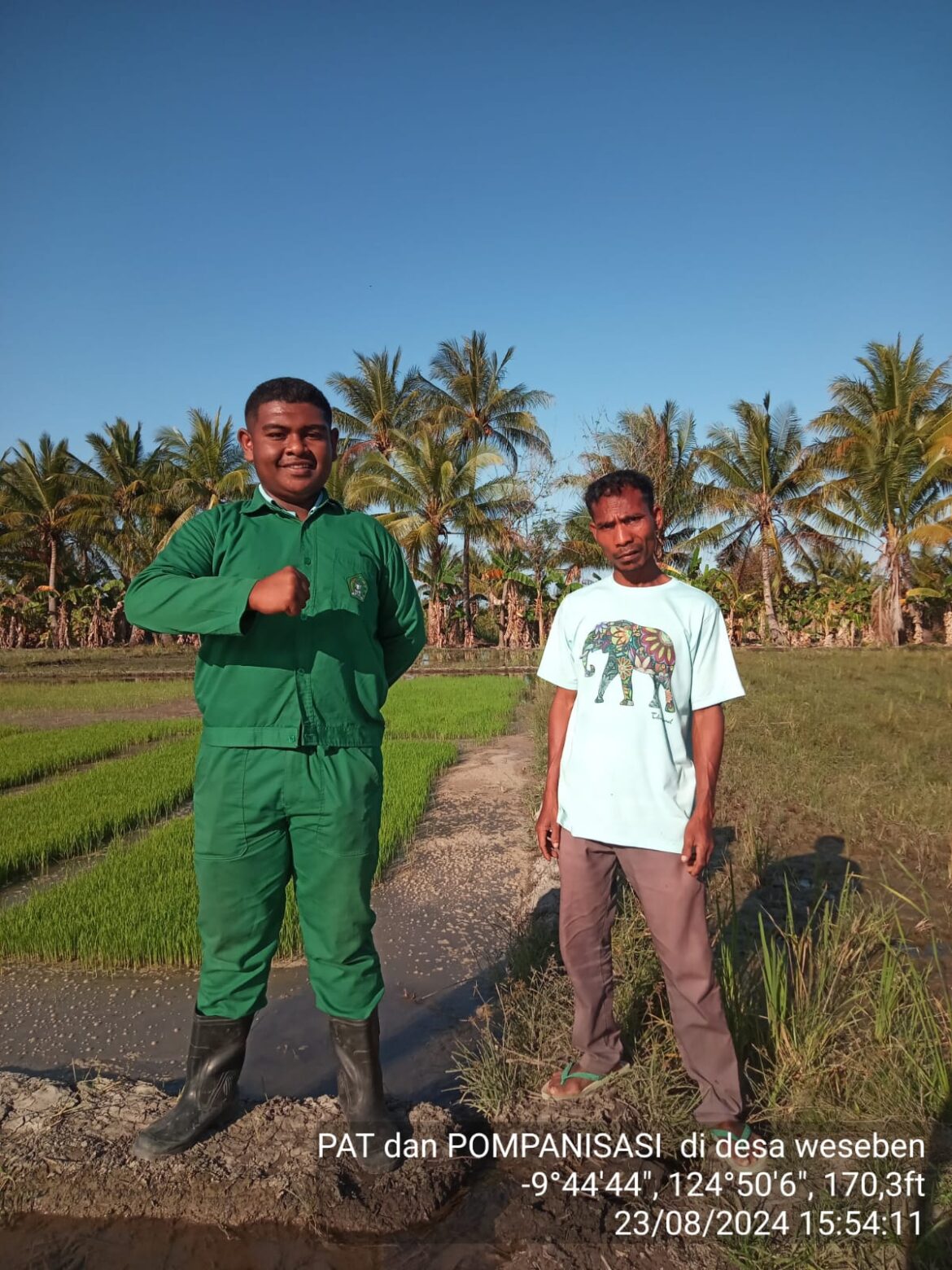 Optimalkan PAT, Siswa SMK PP Kementan Bersinergi dengan Petani dan Penyuluh di NTT