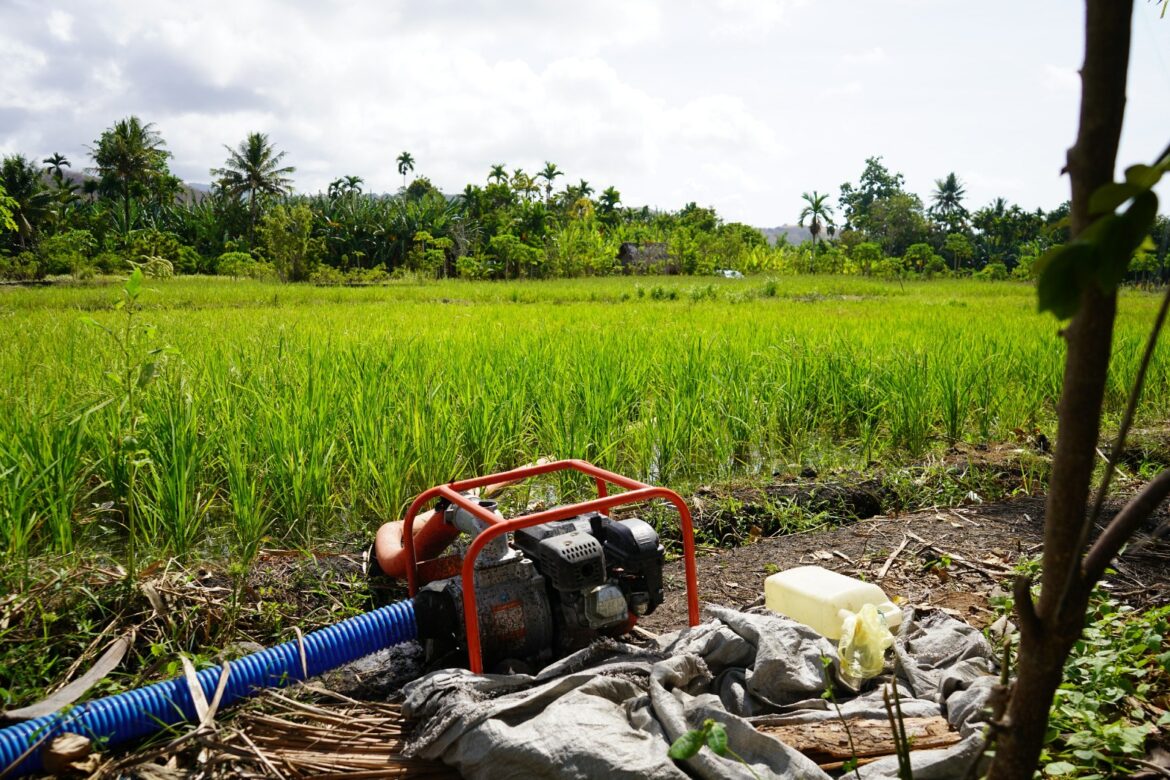 Dongkrak Produksi Pertanian, Kementan Kawal Program PAT di Alor