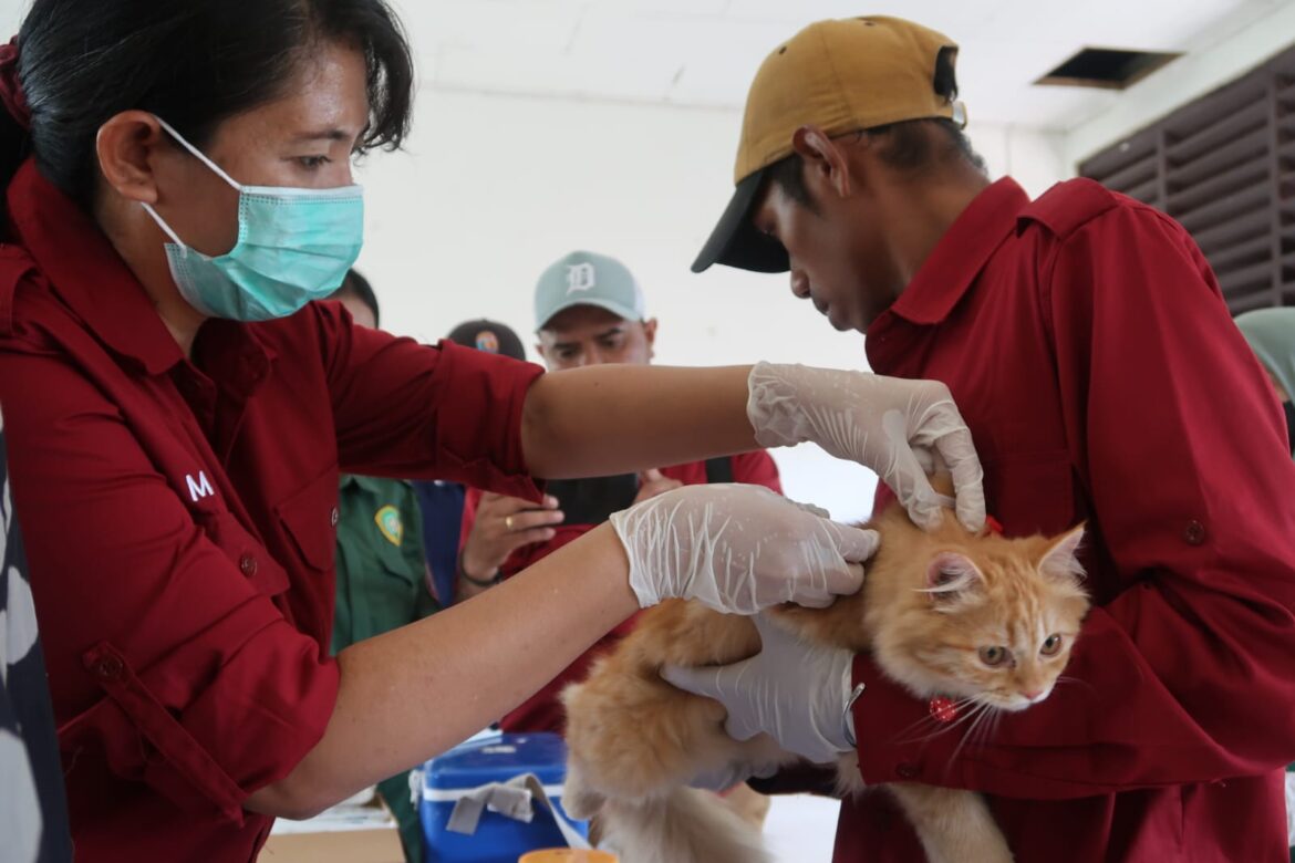 Menuju Indonesia Bebas Rabies 2030, BBPP Kupang Gandeng Puskeswan Tarus Gelar Vaksinasi Rabies Gratis