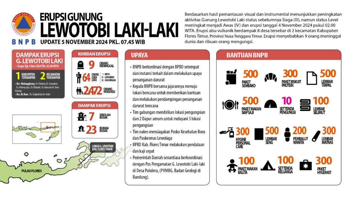 Pemerintah Dorong Respon Cepat Pascaerupsi Gunung Lewotobi Laki-Laki