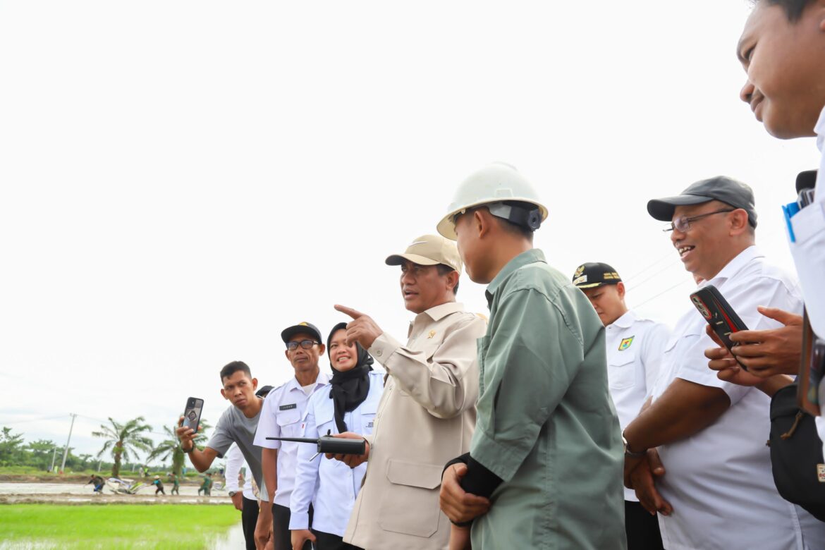 Tinjau Sawah Sumut, Mentan Amran Pastikan Program Swasembada Lewat Oplah dan Cetak Sawah Berjalan Lancar