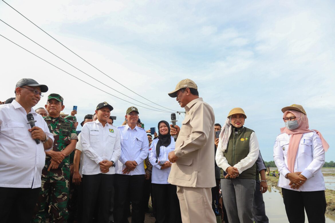 Tinjau Sawah Sumut, Mentan Amran Pastikan Program Swasembada Lewat Oplah dan Cetak Sawah Berjalan Lancar